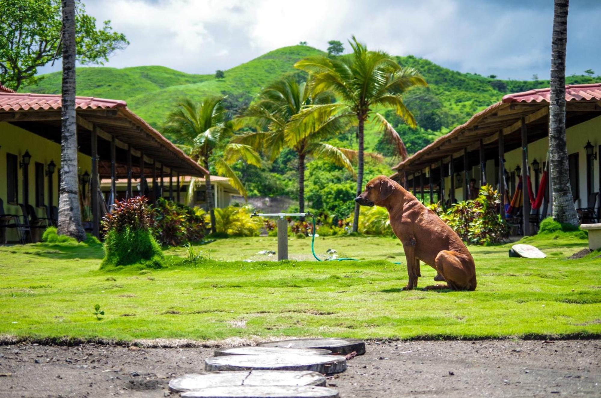 Beach Break Hotel & Surf Camp De Playa Venao Exterior foto